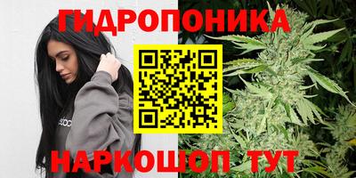МДПВ Славгород