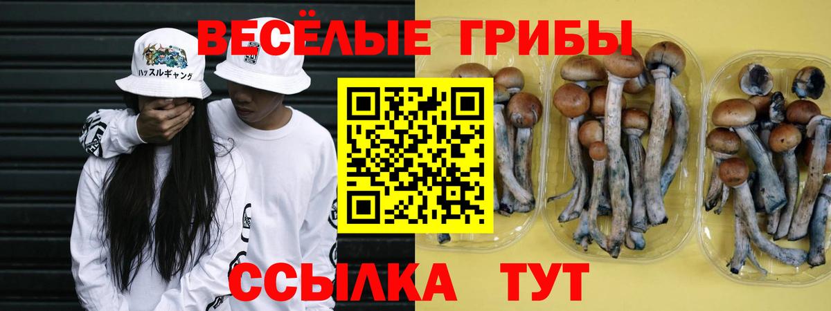Галлюциногенные грибы мицелий  Псилоцибиновые грибы MAGIC MUSHROOMS  Вход с VPN  Тула 